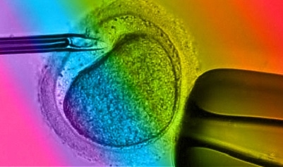 Homoseksualne adopcje w Polsce - będą dostępne, jeśli Sejm uchwali ustawę o in vitro