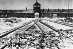 Auschwitz: tragedia człowieka